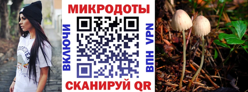 Псилоцибиновые грибы Psilocybine cubensis hydra ТОР Шелехов